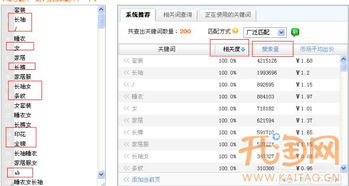 二、 关键词的设置与优化