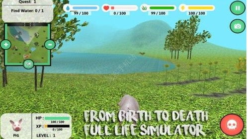 二、 抖音养小猪游戏玩法