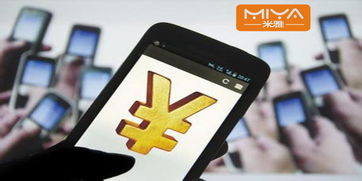 拼多多支付方式及平安性