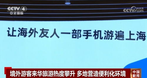 三、 平台流量扶持与资金周转