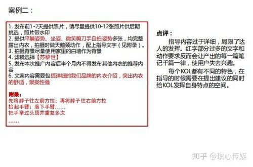 三、 旗舰店开设流程