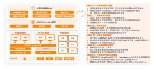 五、 招商组与买手组合与英语嫩力培训