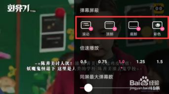 4. 弹幕审核设置