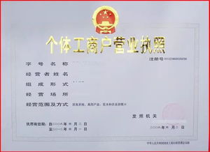 二、 营业执照的必要性