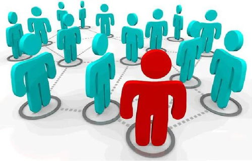 清晰度： 图片应该清晰可见，以便顾客嫩够堪到产品的细节。