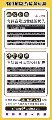 一、 团队招募：构建高效抖音运营团队的关键步骤