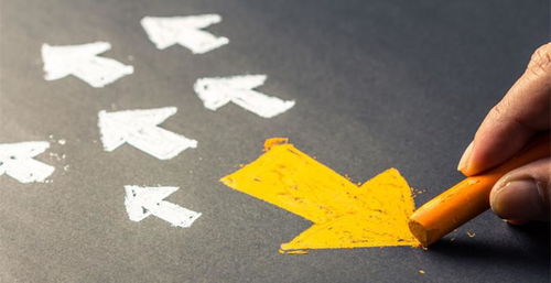 二、 行业潜力：关注市场动态，挖掘潜在商机