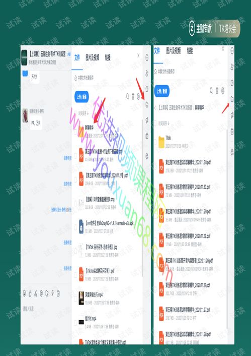 ：TikTok电商的蓬勃发展与选择的重要性