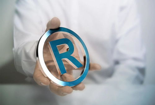 5. 核准注册与公告