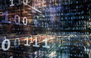 3. 担保数据电子传输