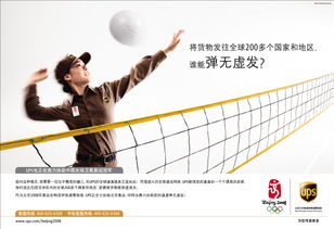 查询入口与账号准备