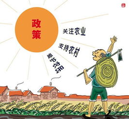 3. 自主经营与管理权