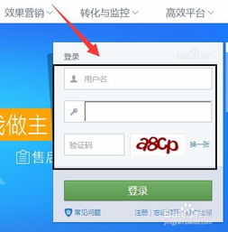 3. 内容创作与发布