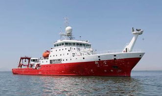 一、 MSK船公司的全球布局与实力展现