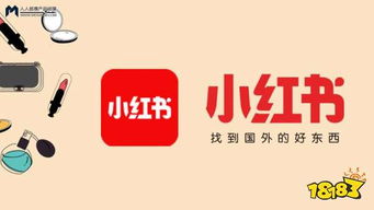 二、养号技巧全解析