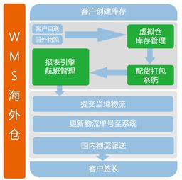常见WMS海外仓系统品牌概述