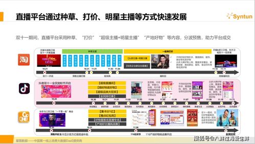 二、 双十一购物狂欢节