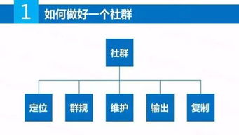 深入了解美客多营销活动