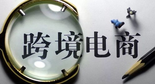 明确目标市场与消费者需求