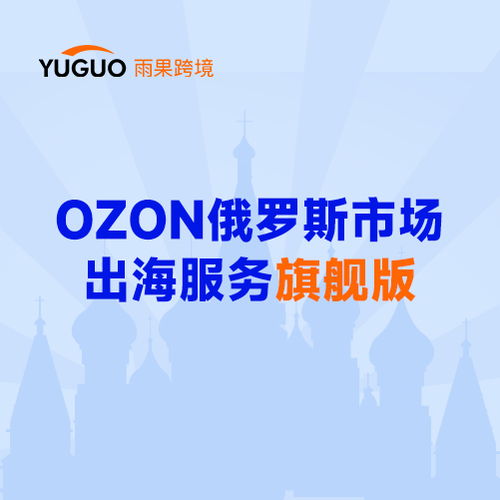 六、 Ozon平台Flash Sale限时抢购及专属优惠