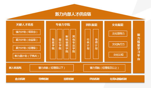 人力资源管理：高效运作与品牌形象建设的保障
