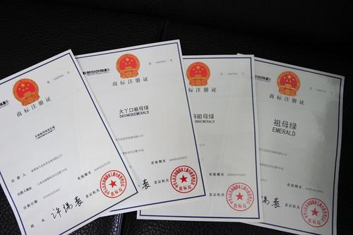 申请前的准备工作