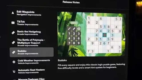 关键词选择的重要性及潜在风险