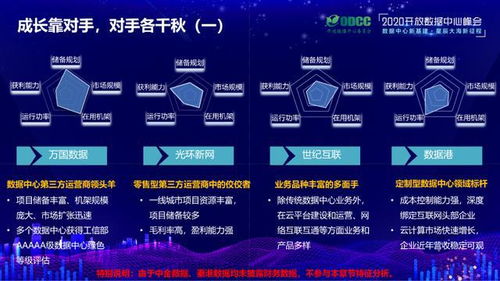 特点一：平台规模宏大， 市场份额显著