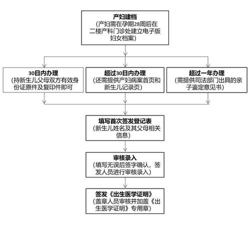 一、 办理依据与所需材料