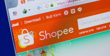 一、 Shopee分期付款业务的合作模式