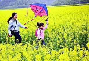 高端经济舱预订量激增， 权益享受备受青睐