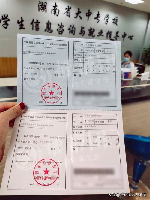 4. 填写担保人信息