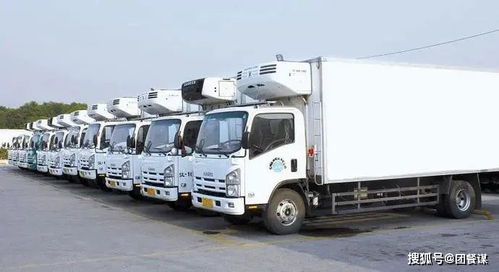 二、操作规范与实践