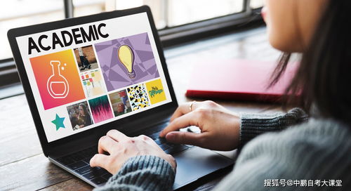 Instagram和TikTok：打造信任社区， 引流与转化并存