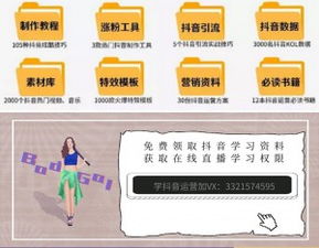 三、 使用规则介绍