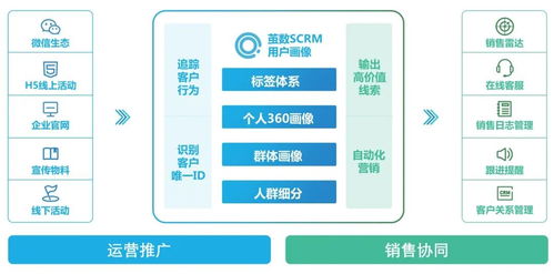 区域订单分析与品牌忠诚度提升