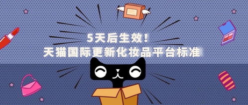 天猫国际店铺类型及入驻要求概述