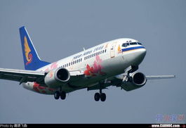 中俄航空“俄速通Ruston”专线案例分析