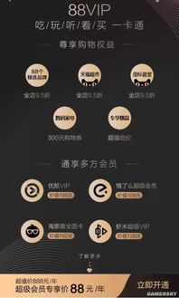 活动期间， 88VIP会员享受订单包邮权益