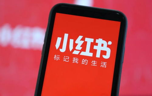 二、 输出可信任的笔记内容