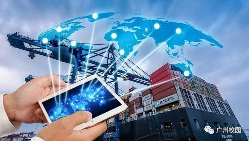 持续学习：与时俱进的知识积累