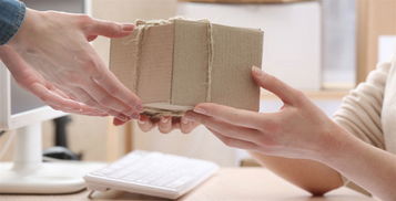 动态追踪中的隐性挑战与应对