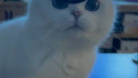 Labubu的全球热潮：全国门店一货难求， 国际明星青睐有加