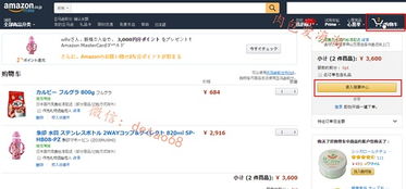 一、 日本亚马逊支付方式概述