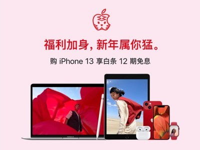 2. 其他苹果产品