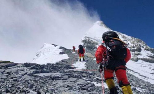 下载量遥遥领先：TEMU在韩国市场的强势地位