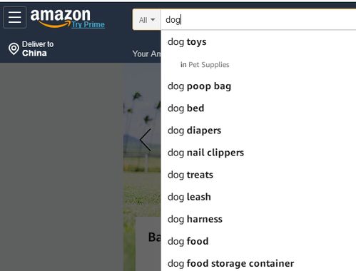 Listing优化：长尾词埋词三明治法则