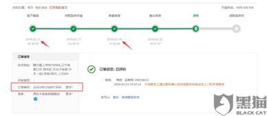 三、 淘宝延迟发货赔付的资金去向
