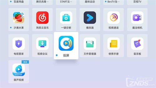 3. 下载并安装投屏软件