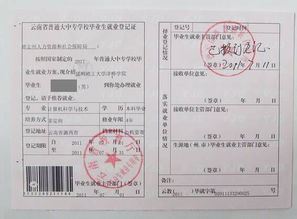 四、 高效解决之道——一站式综合服务平台